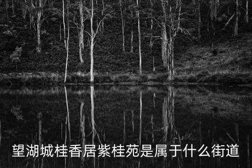 望湖城桂香居紫桂苑是屬于什么街道
