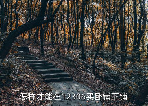 怎樣才能在12306買臥鋪下鋪