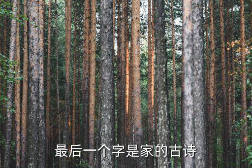最后的家，他們最后的家 用英語怎么說