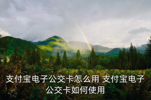 電子公交卡，支付寶電子公交卡可以在武漢那些公交可以使用