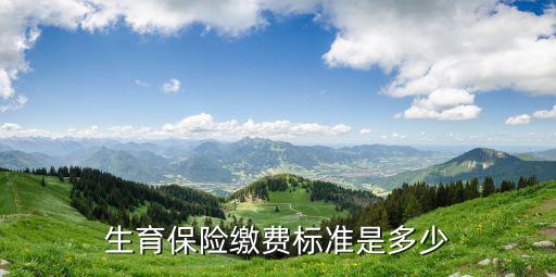 生育保險費，生育保險繳費標準是多少