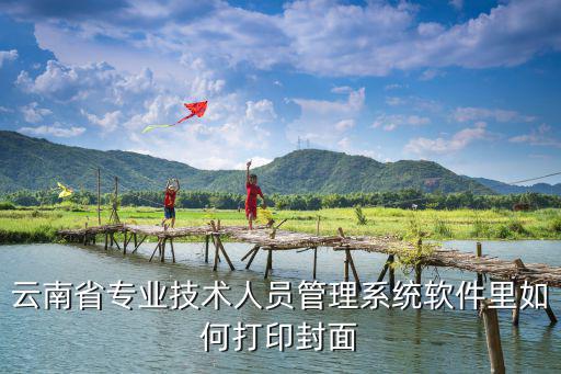 昆明市專業技術人員職稱申報管理系統，云南省專業技術人員管理系統軟件里如何打印封面