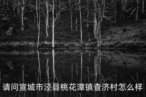 請(qǐng)問(wèn)宣城市涇縣桃花潭鎮(zhèn)查濟(jì)村怎么樣