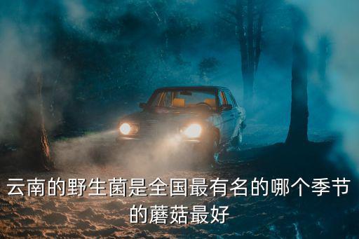 云南的野生菌是全國最有名的哪個季節(jié)的蘑菇最好