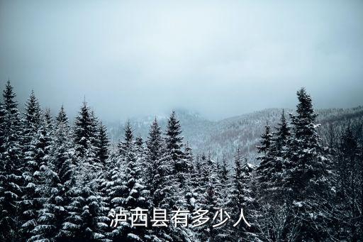 瀘西縣有多少人