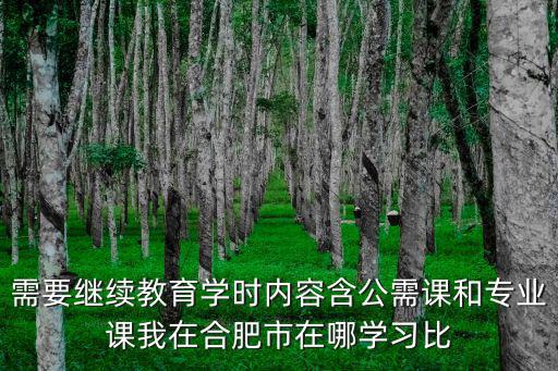 需要繼續教育學時內容含公需課和專業課我在合肥市在哪學習比