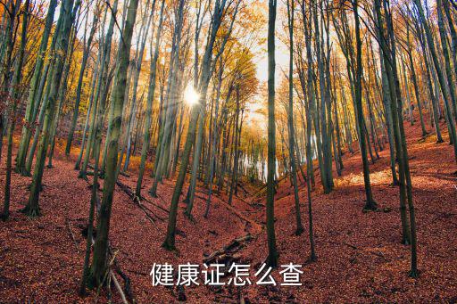 健康證怎么查