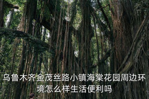 烏魯木齊金茂絲路小鎮海棠花園周邊環境怎么樣生活便利嗎