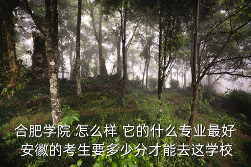 合肥學(xué)院 怎么樣 它的什么專業(yè)最好 安徽的考生要多少分才能去這學(xué)校