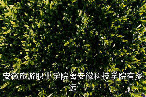 安徽旅游職業(yè)學院離安徽科技學院有多遠