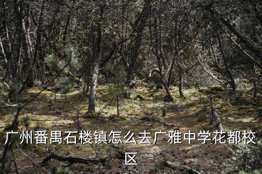 廣州番禺石樓鎮怎么去廣雅中學花都校區