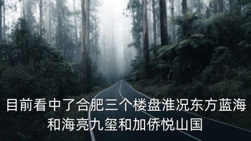 目前看中了合肥三個樓盤淮況東方藍海和海亮九璽和加僑悅山國