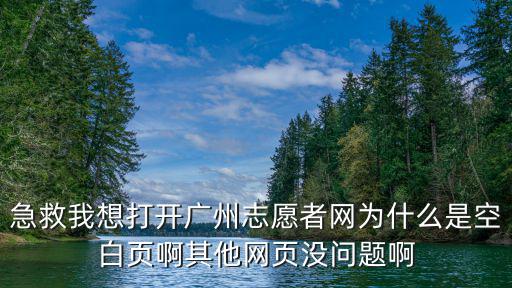 急救我想打開廣州志愿者網為什么是空白頁啊其他網頁沒問題啊