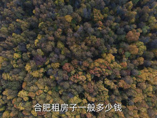 合肥租房子一般多少錢