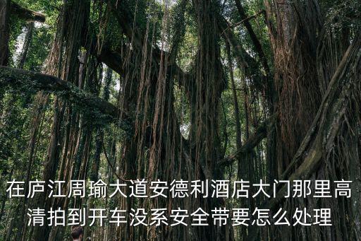 周瑜大道，在廬江周瑜大道安德利酒店大門那里高清拍到開車沒系安全帶要怎么處理