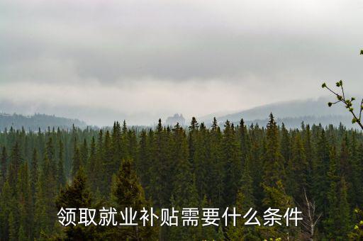 大學生就業補貼怎么申請，領取就業補貼需要什么條件