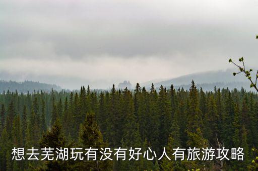 想去蕪湖玩有沒有好心人有旅游攻略