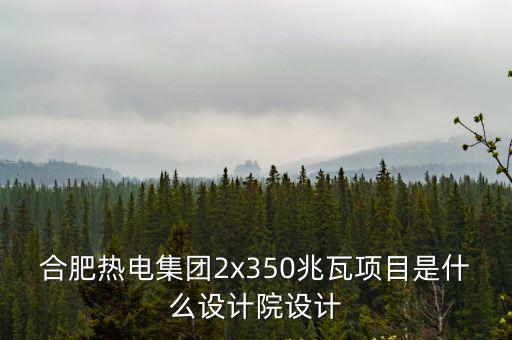 合肥熱電集團2x350兆瓦項目是什么設計院設計