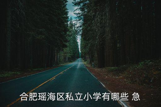 合肥私立小學，合肥有哪些民辦小學