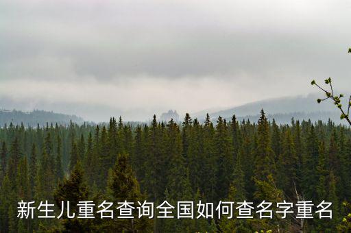 新生兒重名查詢，沈陽相同名字查詢怎么查