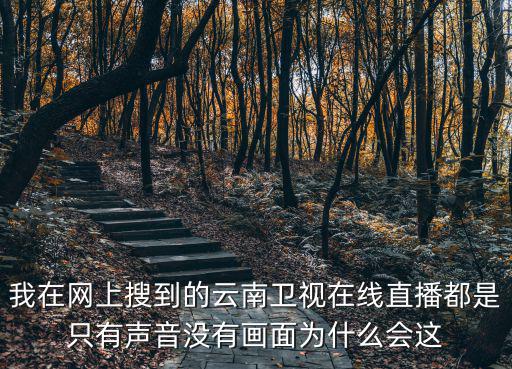 我在網上搜到的云南衛視在線直播都是只有聲音沒有畫面為什么會這