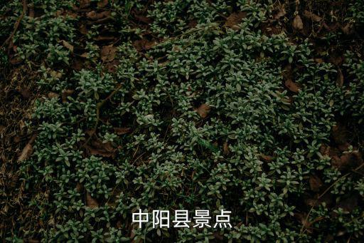 中陽縣景點