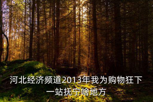 河北經濟頻道2013年我為購物狂下一站撫寧啥地方