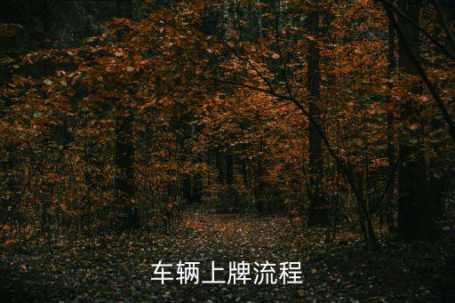 上牌，新車上牌需要注意哪些手續