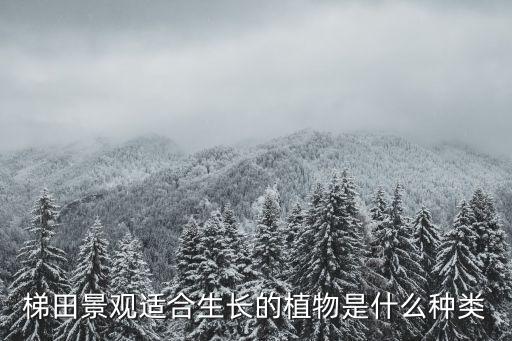 梯田景觀，梯田景觀的形態和顏色隨季節變化的表現高中地理