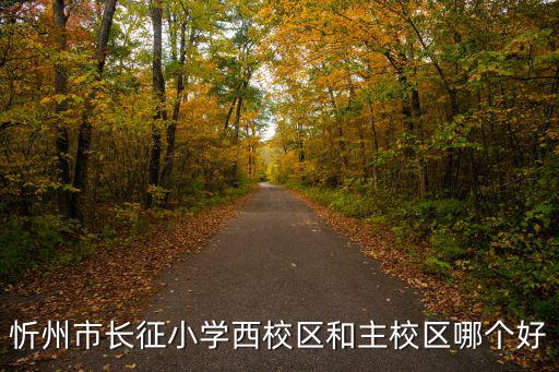 長征小學，于都長征小學怎么樣