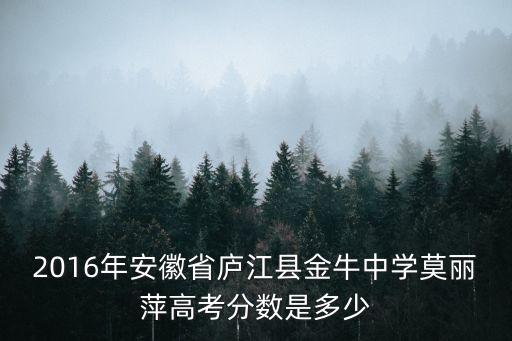 2016年安徽省廬江縣金牛中學莫麗萍高考分數是多少