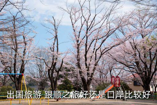 出國旅游 跟順之旅好還是口岸比較好