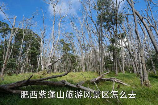 肥西紫蓬山旅游風(fēng)景區(qū)怎么去