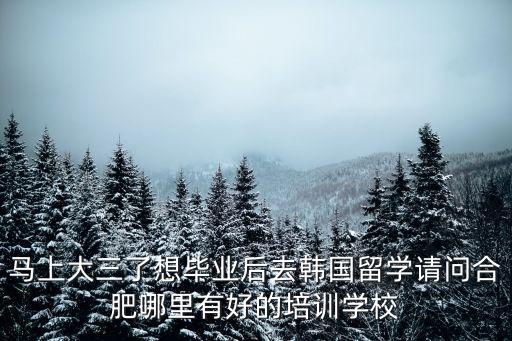 馬上大三了想畢業后去韓國留學請問合肥哪里有好的培訓學校