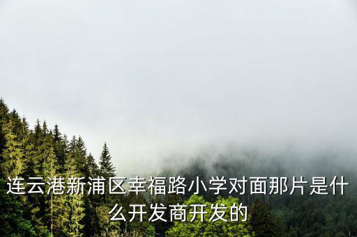 連云港新浦區幸福路小學對面那片是什么開發商開發的