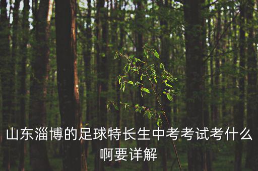 山東淄博的足球特長(zhǎng)生中考考試考什么啊要詳解