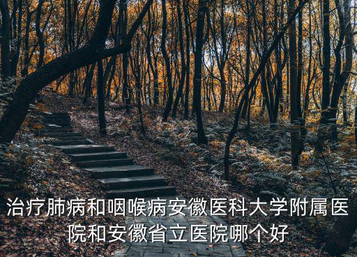 治療肺病和咽喉病安徽醫(yī)科大學(xué)附屬醫(yī)院和安徽省立醫(yī)院哪個好