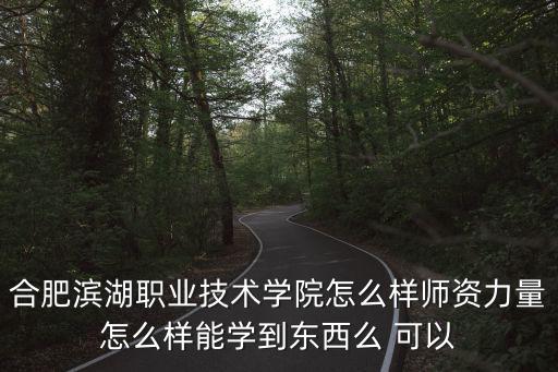 合肥濱湖職業(yè)學(xué)院，合肥濱湖職業(yè)技術(shù)學(xué)院是公辦嗎