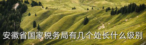 安徽省國家稅務局有幾個處長什么級別