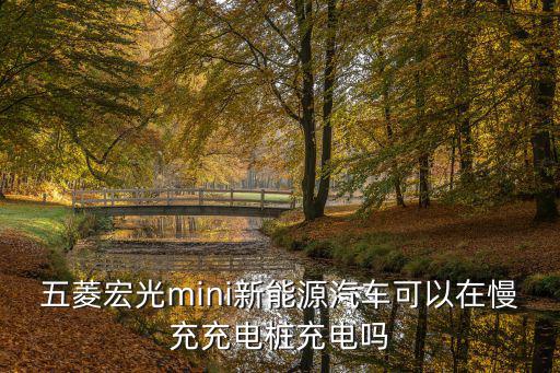 五菱宏光mini新能源汽車可以在慢充充電樁充電嗎
