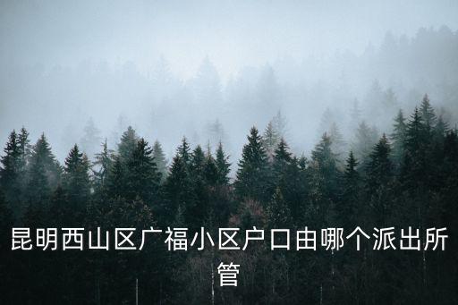 西山區(qū)政府，昆明西山區(qū)廣福小區(qū)戶口由哪個(gè)派出所管