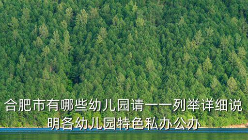 合肥市有哪些幼兒園請一一列舉詳細說明各幼兒園特色私辦公辦