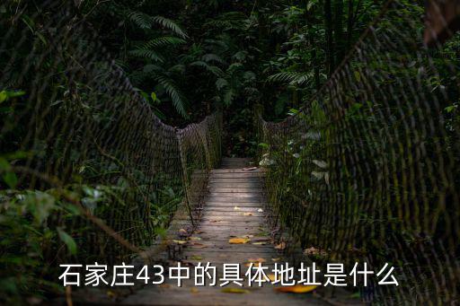 石家莊43中的具體地址是什么