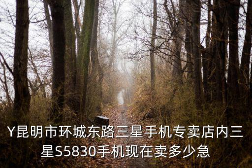 三星專賣店，Y昆明市環(huán)城東路三星手機專賣店內(nèi)三星S5830手機現(xiàn)在賣多少急