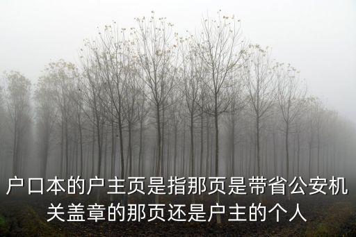 戶口本的戶主頁是指那頁是帶省公安機關蓋章的那頁還是戶主的個人