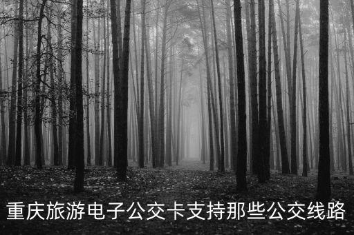 重慶旅游電子公交卡支持那些公交線路