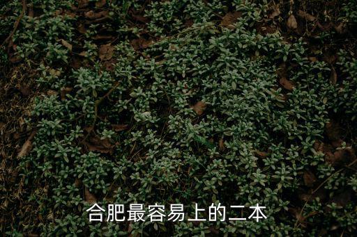 合肥二本院校，合肥有哪些二本大學