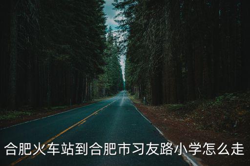 合肥火車站到合肥市習(xí)友路小學(xué)怎么走