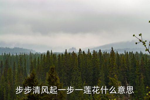 步步清風起一步一蓮花什么意思