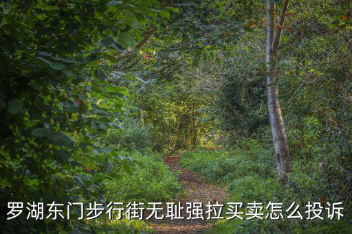 羅湖東門步行街無恥強拉買賣怎么投訴